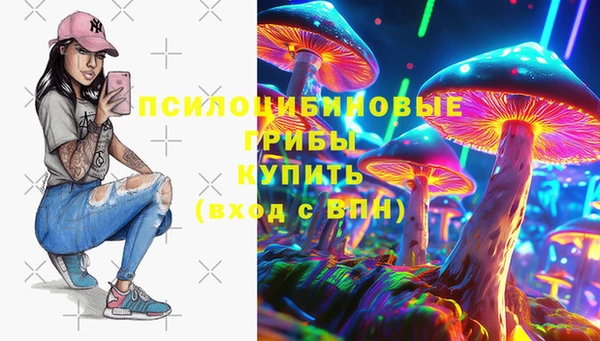 гидра Аркадак