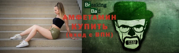 гидра Аркадак