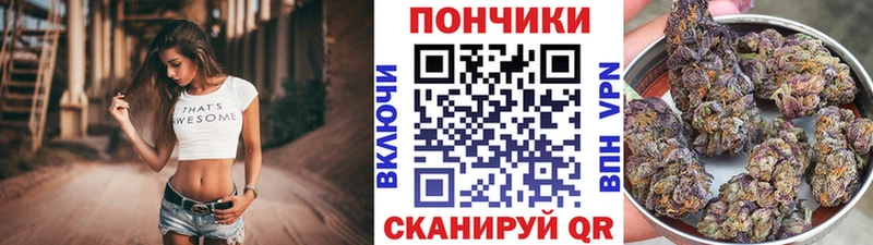 Бошки марихуана Bruce Banner  Купить где  Лысково 